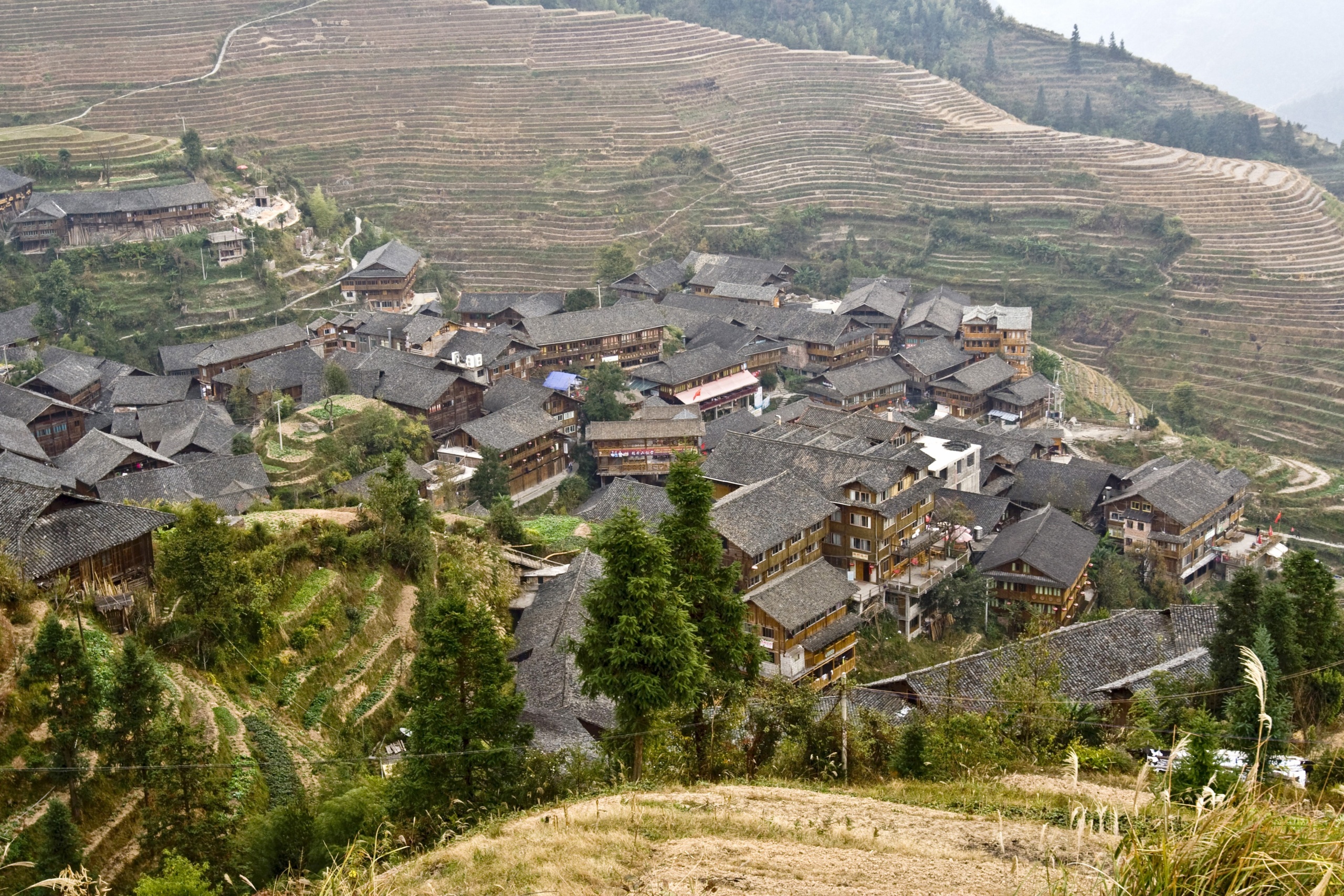 Chiny - Hepingxiang - Longji Rice Terraces