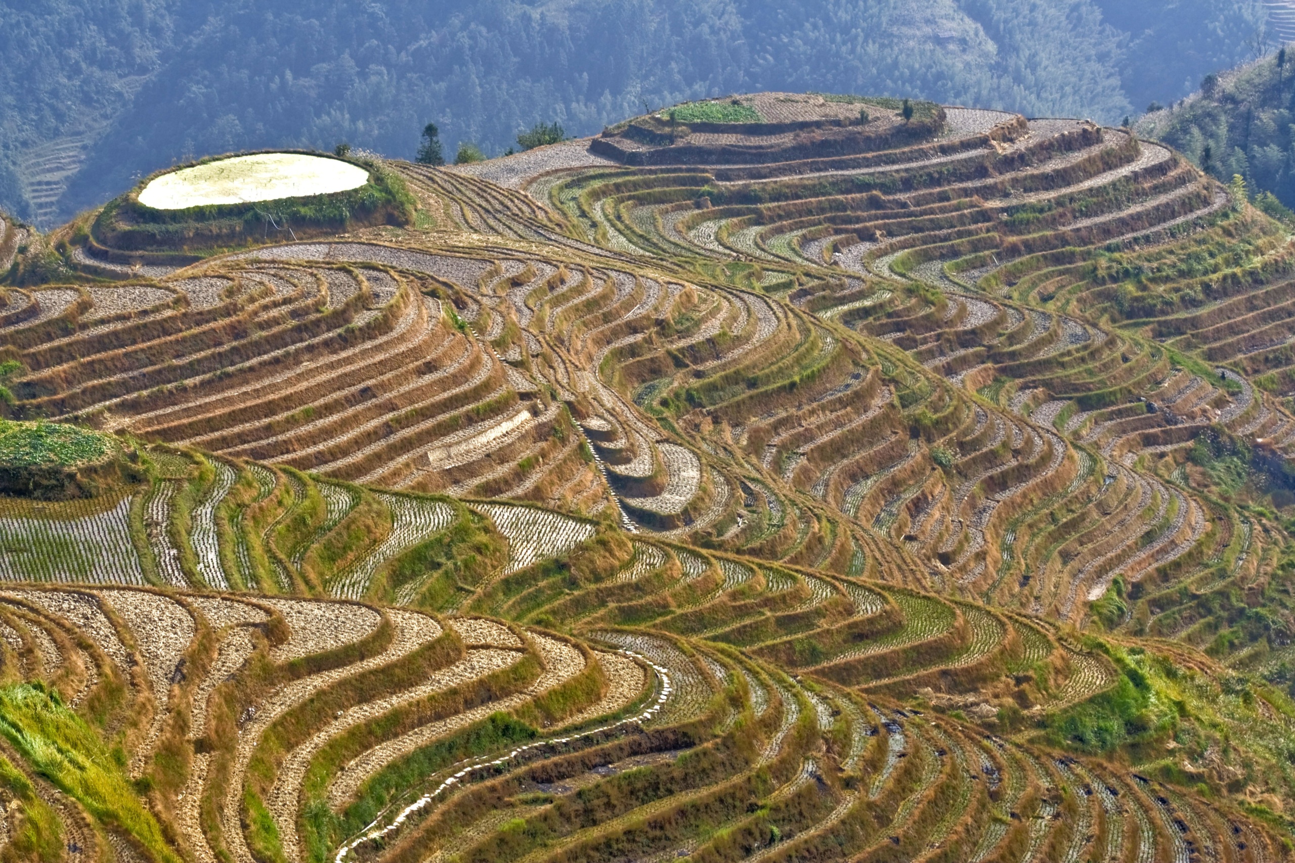 Chiny - Hepingxiang - Longji Rice Terraces