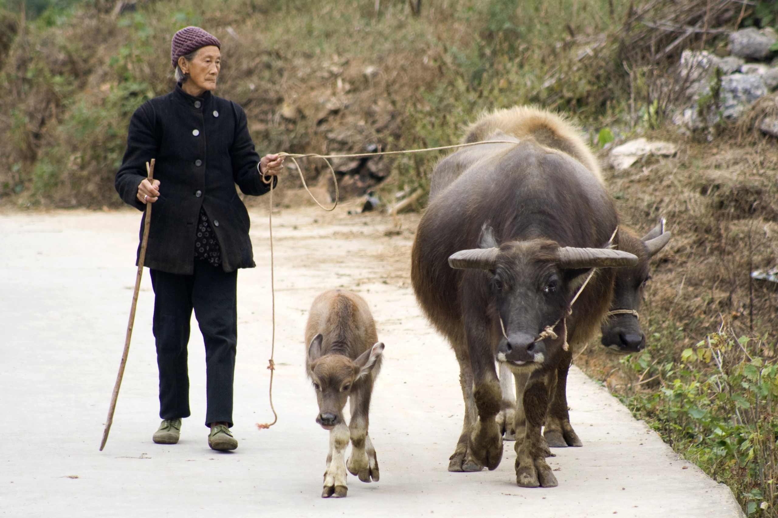 Chiny -  Yangshuo