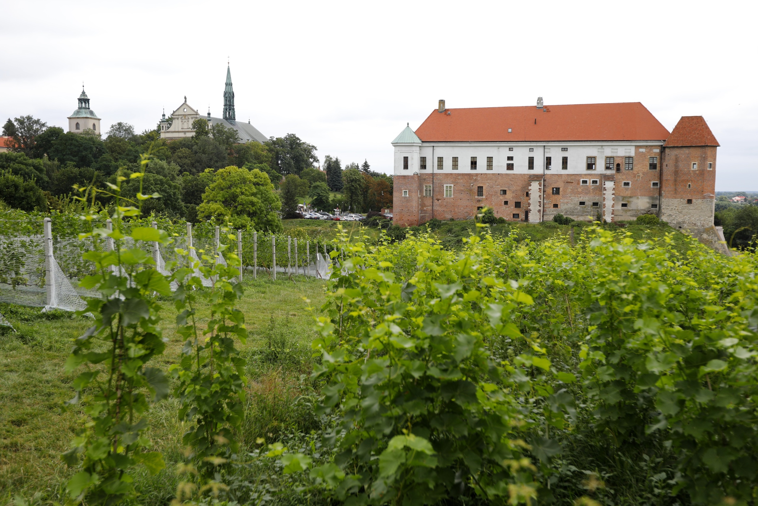 Sandomierz - Klasztor dominikanów z winnicami